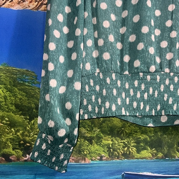 Heartloom Green and White polka Dot Blouse - Picture 6 of 7